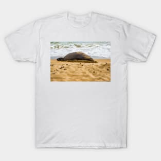 Monk seal T-Shirt